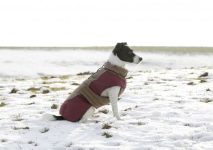 Kabátek ROYAL PETS pro psy