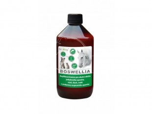 DROMY Boswellia Serrata Plus concentrate liquid pro koně 1000ml