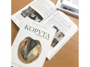KOPYTA - KOMPLETNÍ PRŮVODCE