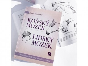 KOŇSKÝ MOZEK – LIDSKÝ MOZEK