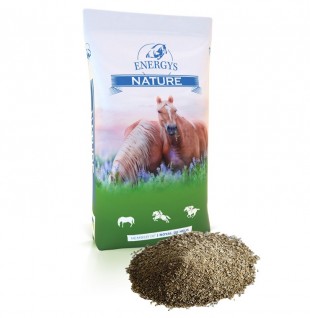 ENERGYS Sladový květ sypký pro koně a skot 20kg