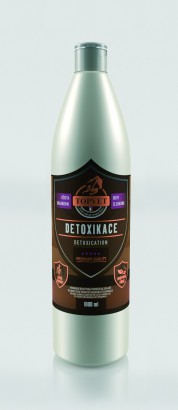 TOPVET DETOXIKACE Sirup